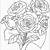 free printable coloring pages of roses