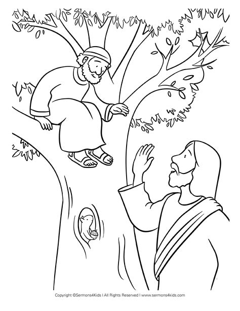 20+ beautiful collection Zacchaeus In The Bible Coloring Page