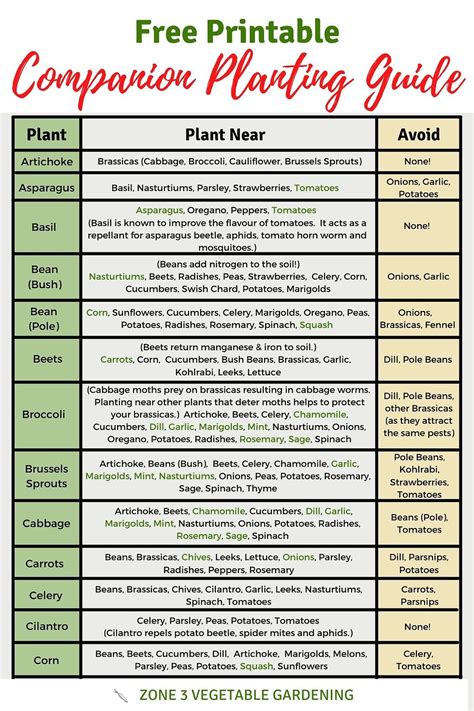 FREE 7+ Sample Companion Planting Chart Templates in PDF