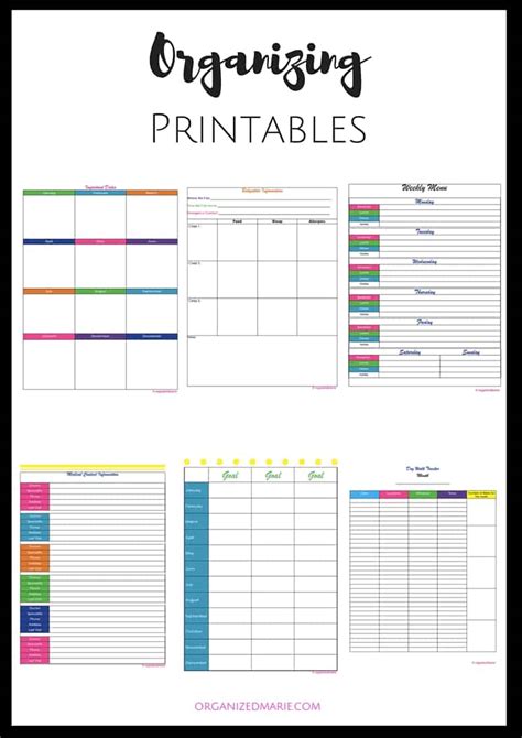 Professional Organizer Business Forms and Template Tool Kit