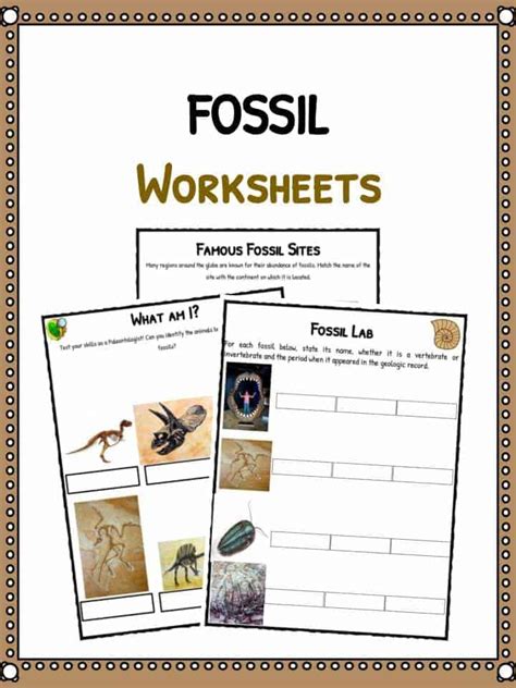 Fossil Facts & Worksheets For Kids History and Famous Sites