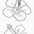 free printable hibiscus flower stencils