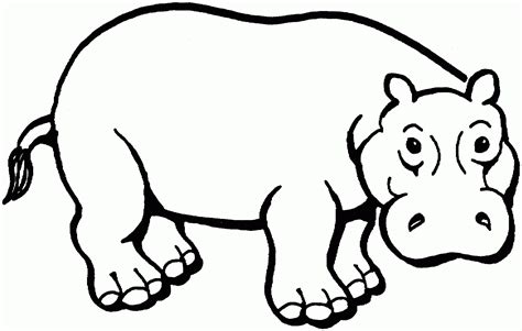 Free Printable Hippo Coloring Pages For Kids