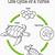 free printable life cycle of a sea turtle
