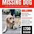 free printable lost pet flyer