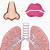 free printable lung template - free printable templates