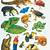free printable pictures of rainforest animals