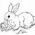 free printable rabbit coloring pages