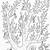 free printable tree coloring pages