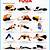 free printable yoga poses chart