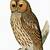 free printables art owls
