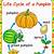 free pumpkin life cycle printable