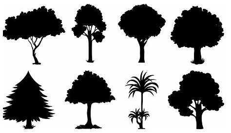 Tree silhouettes Royalty Free Vector Image - VectorStock