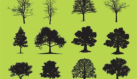 Free Vector Tree Silhouette at Vectorified.com | Collection of Free