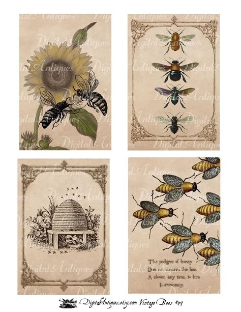 Bee Time Vintage Printable Images Digital Download Bee images