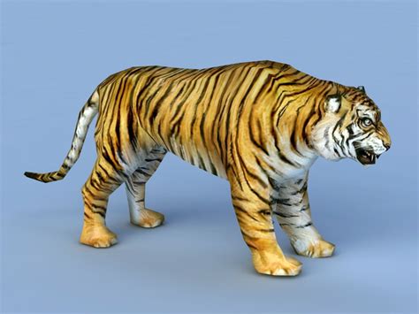 free 3d tiger model