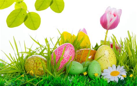 free backgrounds wallpapers easter