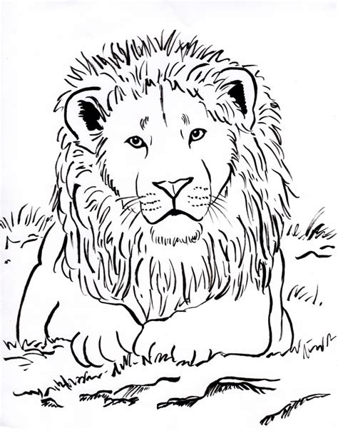 free coloring pages lions