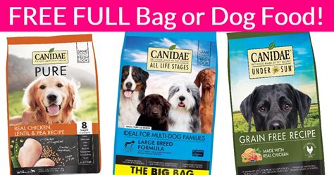 free dog food samples by mail 2017