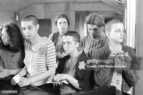 free donna haley teller