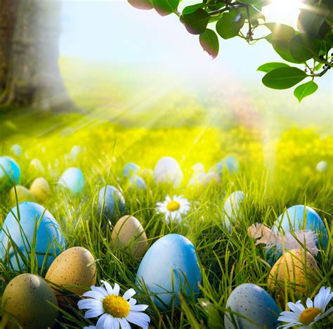 [47+] Easter Wallpaper and Screensavers on WallpaperSafari