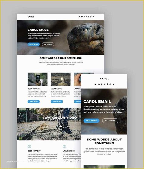 free email templates mailchimp