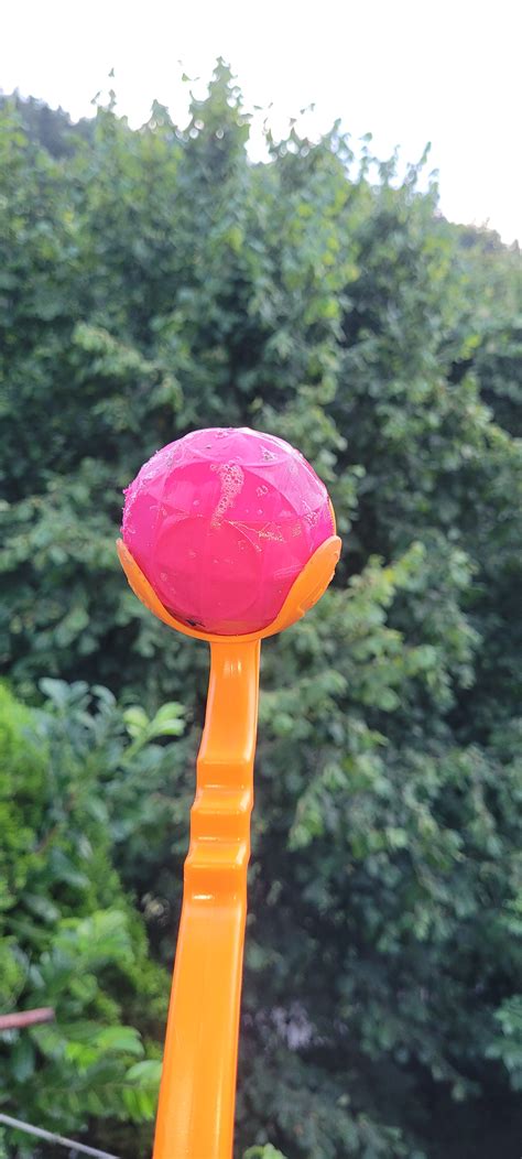 Free Fetch Stick Printables