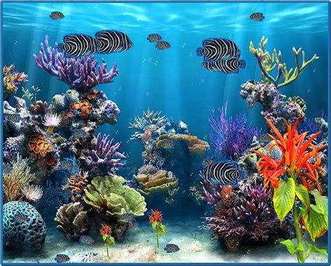 free fish tank screensaver marine aquarium