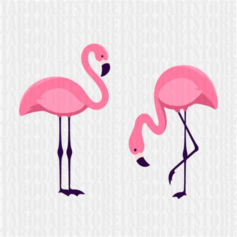 free flamingo svg cut files