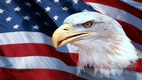 free images of american flag with eagle