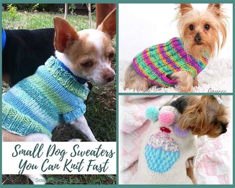 Free Knitting Patterns For Small Dogs