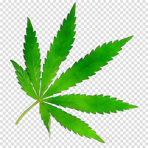 free marijuana print png