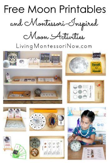 Free Moon Printables Packet