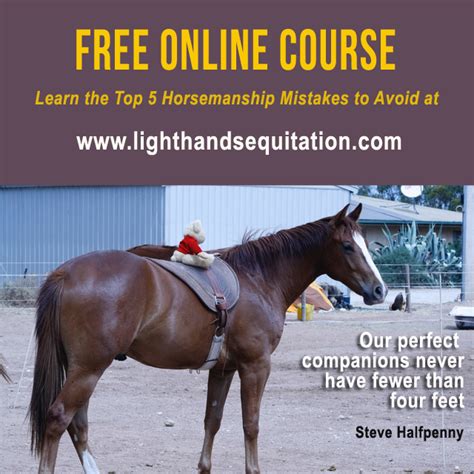 free online horse riding tips