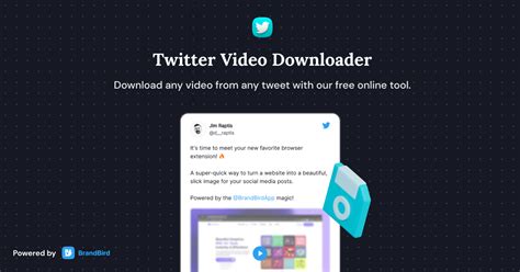 free online twitter video downloader