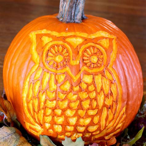 Free Owl Pattern For Pumpkin Carving