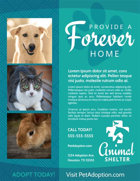 free pet adoption flyer template