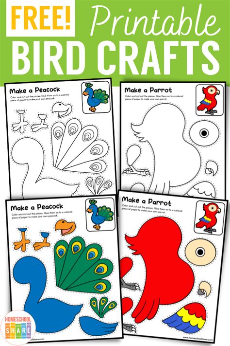 Free Printable Bird Activities