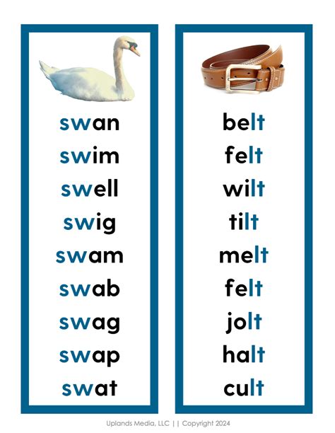 Free Printable Blue Level Check List