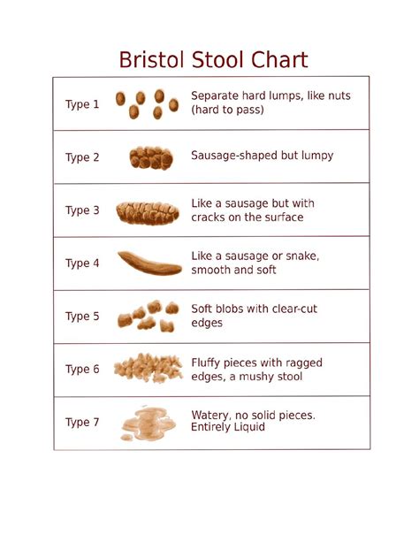 free printable bristol stool chart pdf