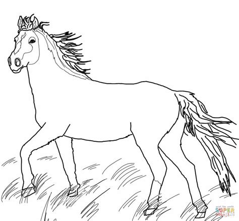 free printable horse coloring pages mustang