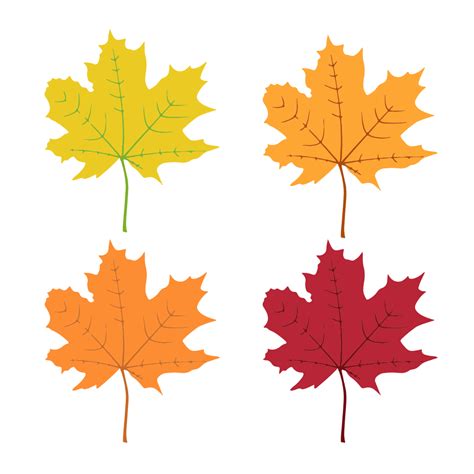 Free Printable Maple Fall Leaves