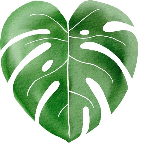 Free Printable Monstera Leaf