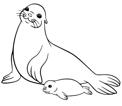 free printable sea lion picture