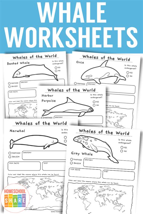 Free Printable Whale Activity