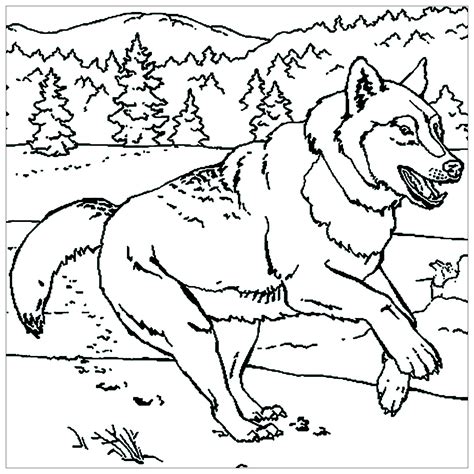 Free Printable Wolf