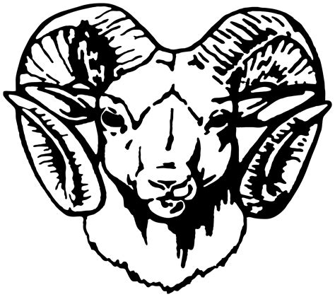 Animal, goat, head, mammal, ram icon