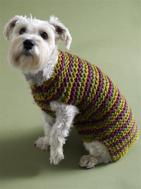 Free Small Dog Sweater Knitting Pattern