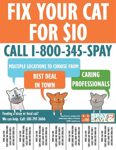 free spay for cats near me vouchers