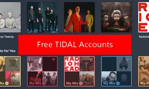 free tidal account username and password